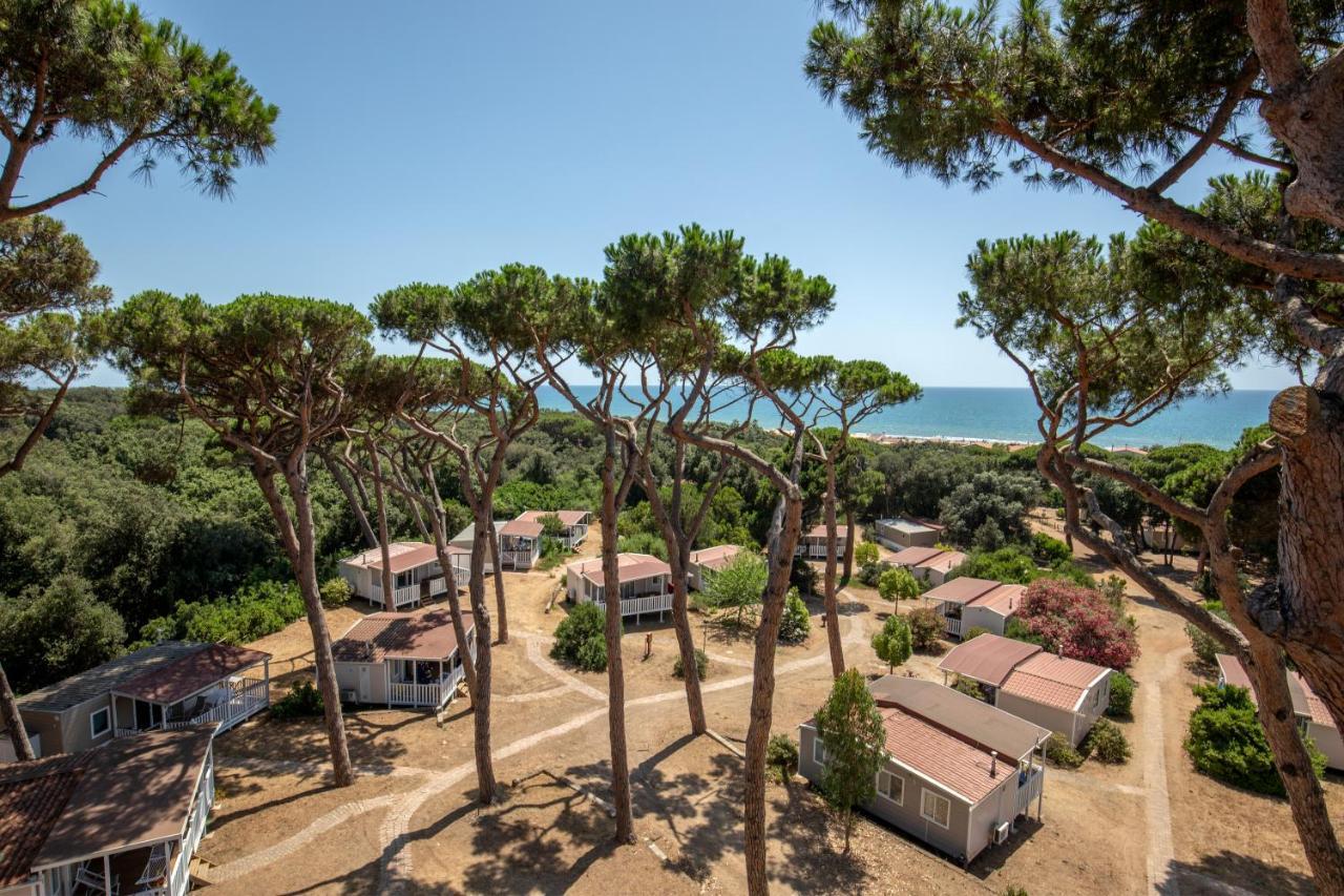 Parco Della Gallinara Lido dei Pini Exterior photo